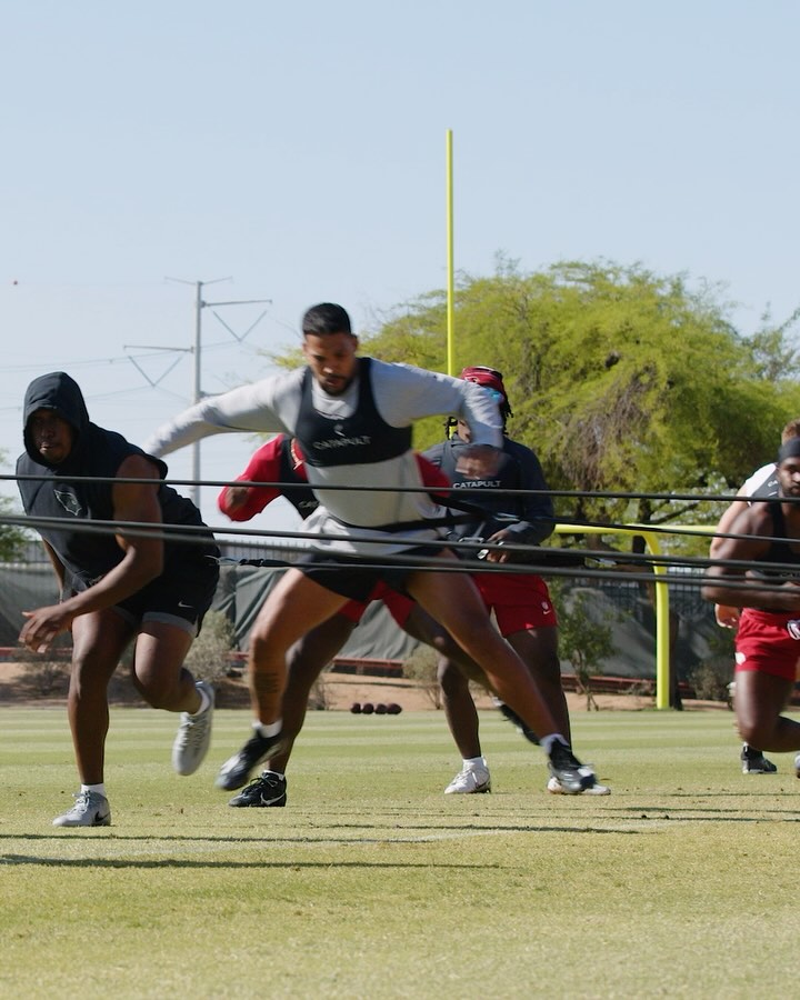 Arizona Cardinals Lay New Foundation