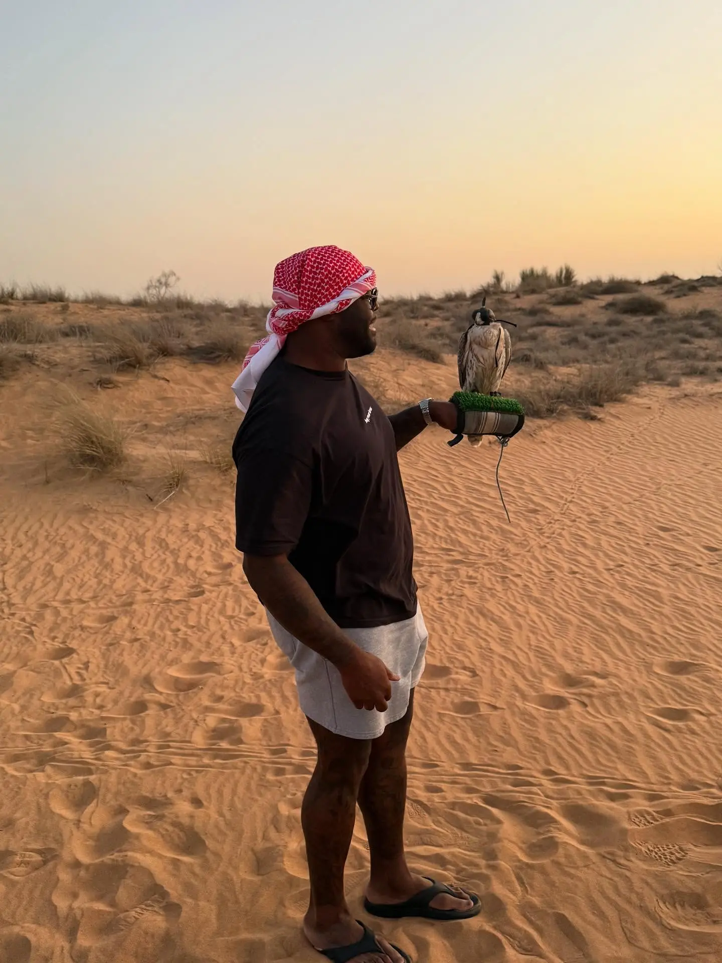 A’Shawn Robinson’s Dubai Surprise Nightlife, style, and action in a dazzling Dubai backdrop as A’Shawn Robinson shines -VIP!