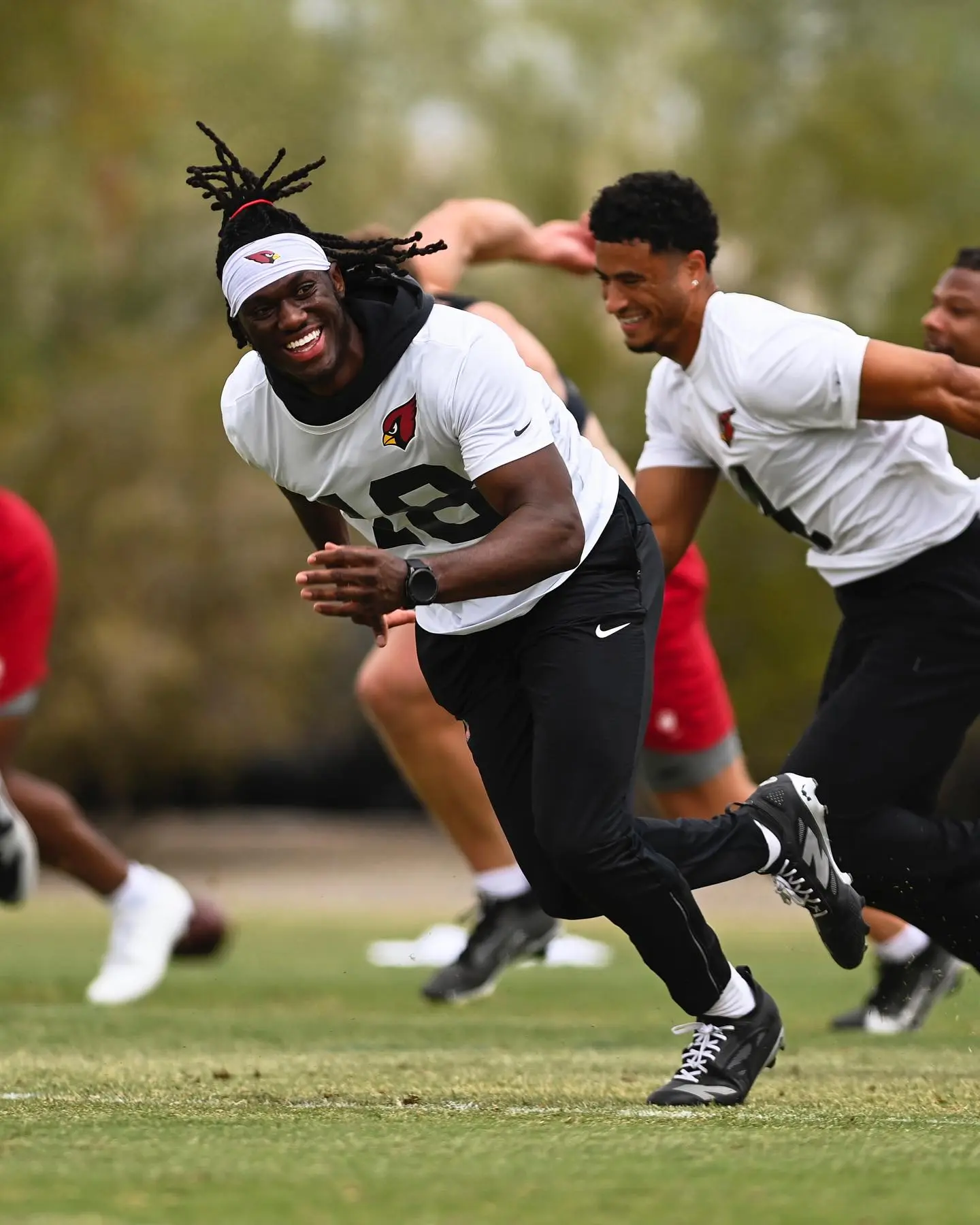 Cardinals Embrace Chill Mood In Social Media Vibes Arizona Cardinals showcase a laid-back vibe with stunning images capturing the 'mood' USA