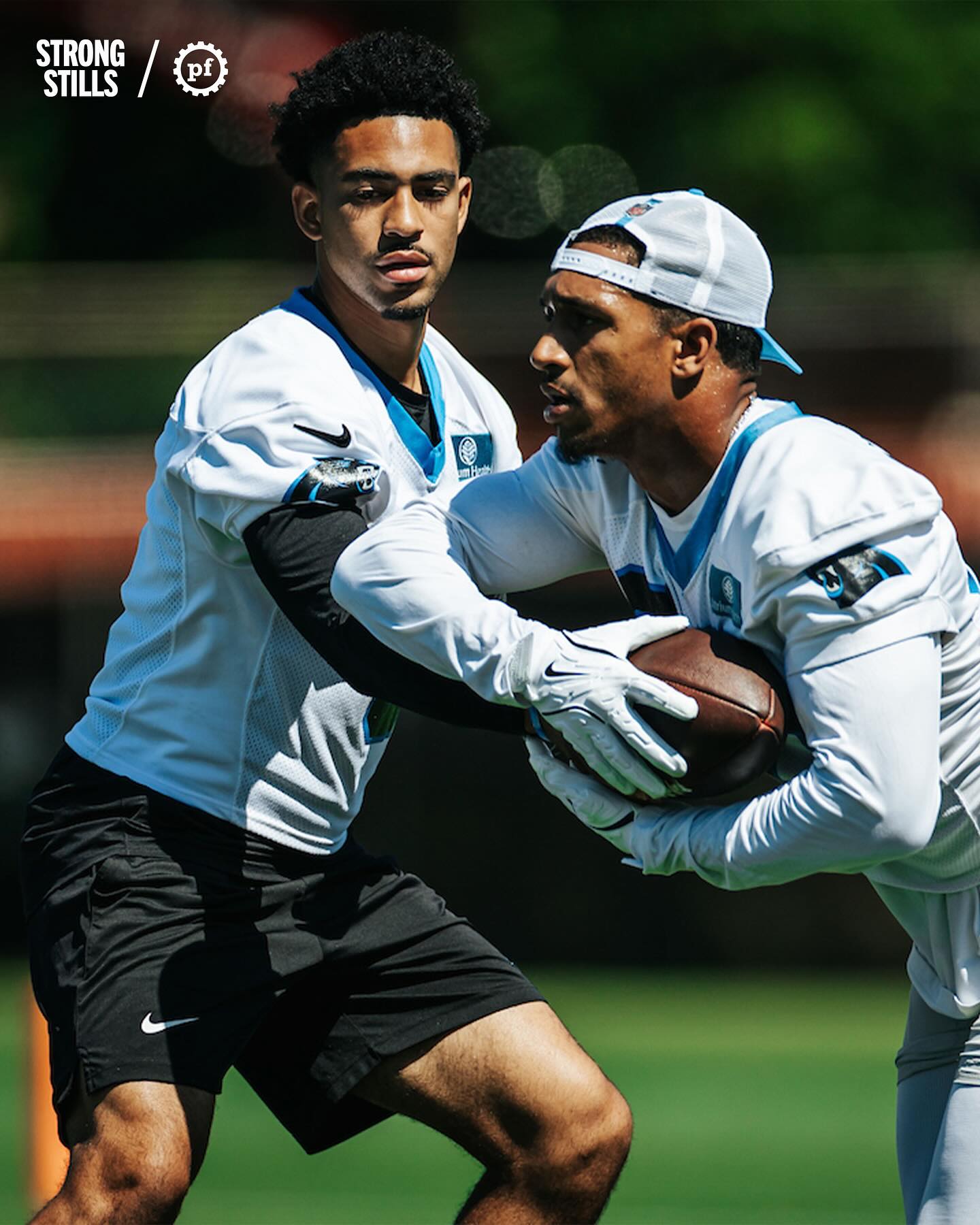 Carolina Panthers Stay Active On Social Media Vibrant Instagram updates showcase unwavering dedication with lively moments off the field.