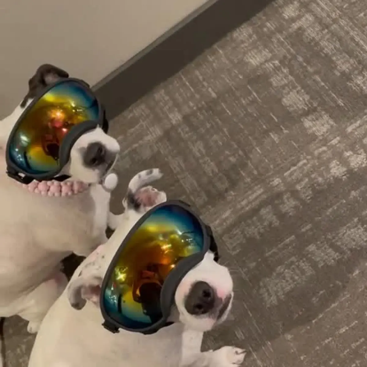 Josh Butler’s Viral IG Post Sparks Buzz NFL star blends humor with trends, sparking lively buzz through clever online posts on IG