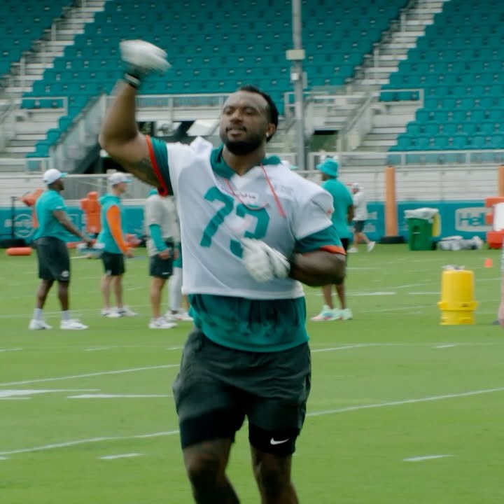 Miami Dolphins Office Vibes